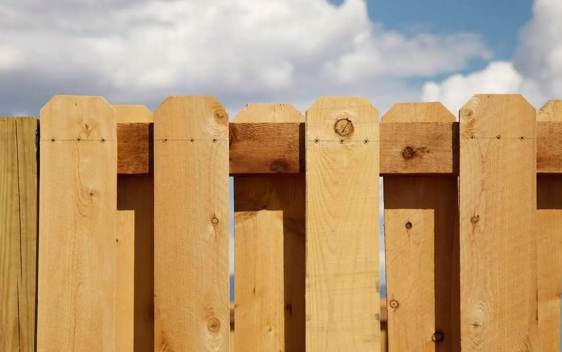 Row of wooden fence pickets against a blue sky